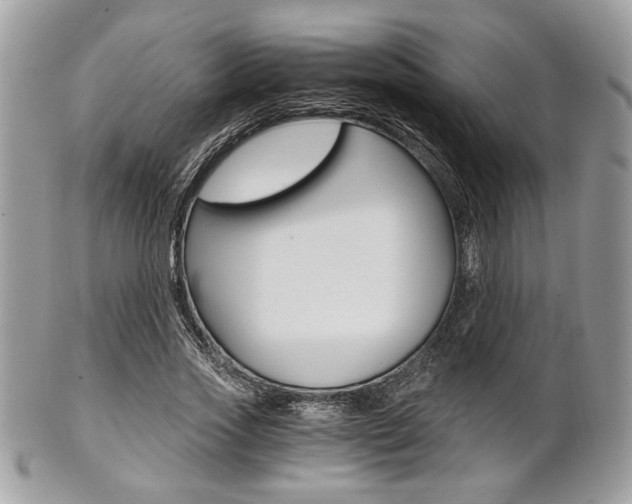 X0000101410733200807071006