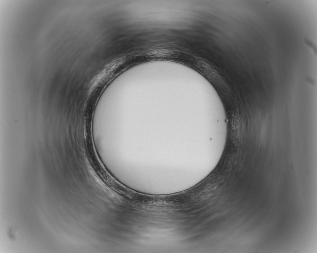 X0000101410734200807071006