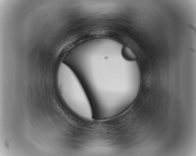 X0000101410735200807071006