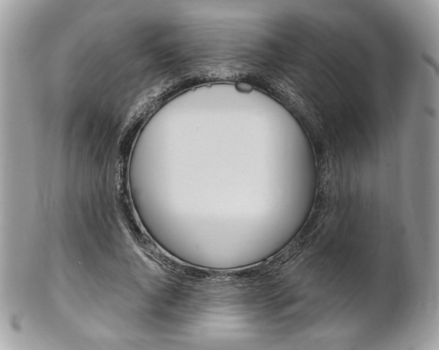 X0000101410736200807071006