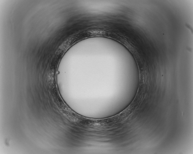 X0000101410737200807071006