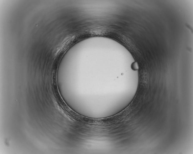 X0000101410738200807071006