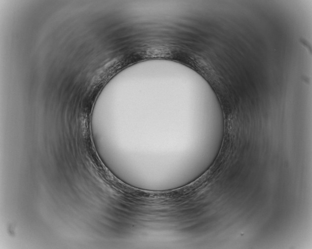 X0000101410741200807071006