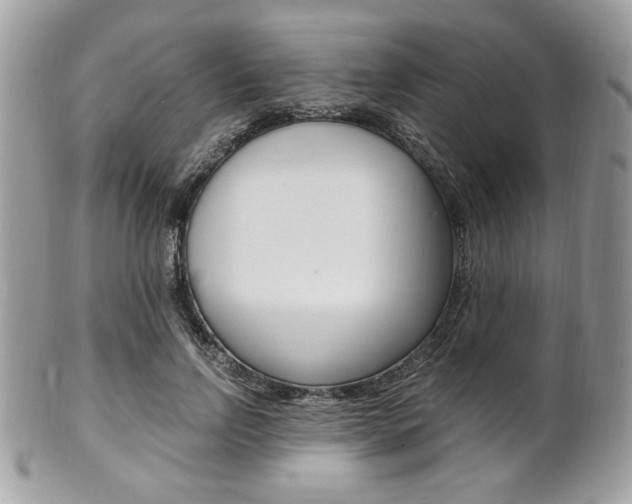 X0000101410742200807071006