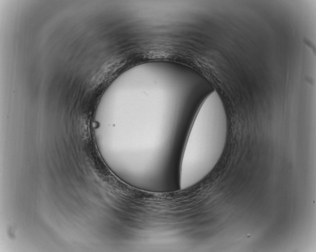 X0000101410743200807071006