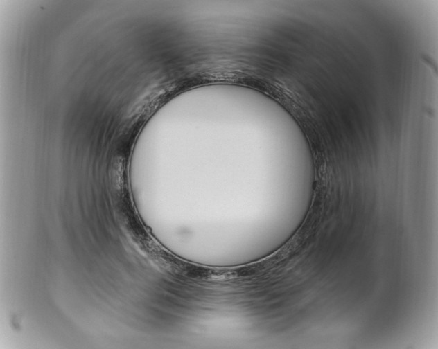 X0000101410744200807071006