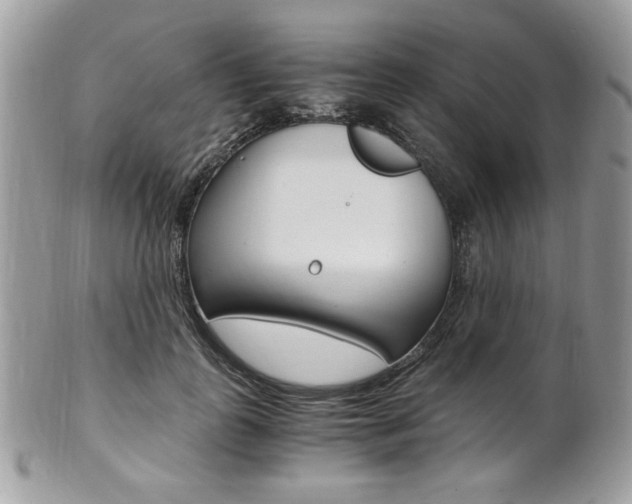 X0000101410747200807071006
