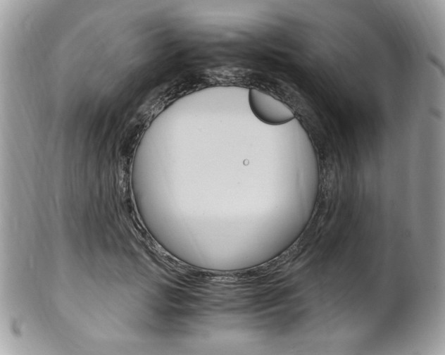 X0000101410749200807071006
