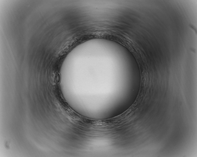 X0000101410750200807071006