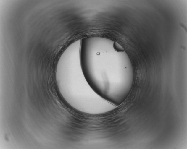 X0000101410751200807071006