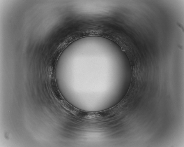 X0000101410752200807071006