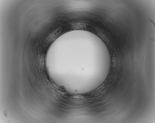 X0000101410753200807071006