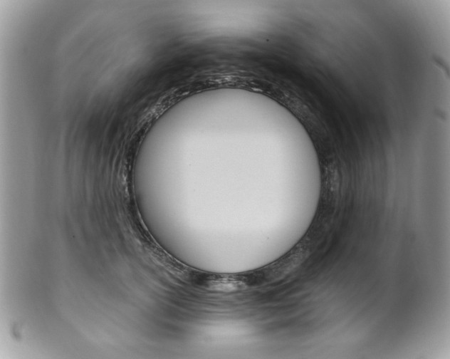 X0000101410754200807071006