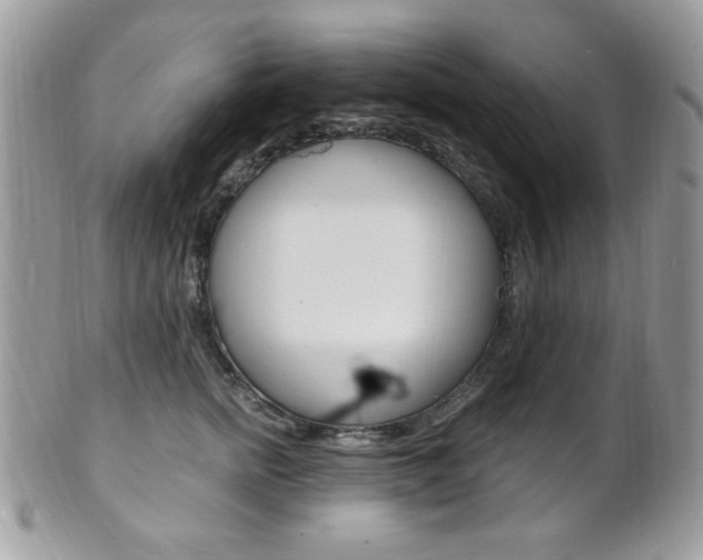 X0000101410758200807071006