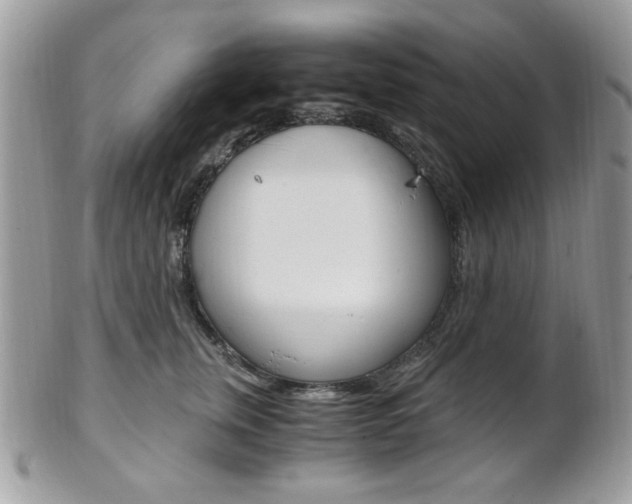 X0000101410759200807071006