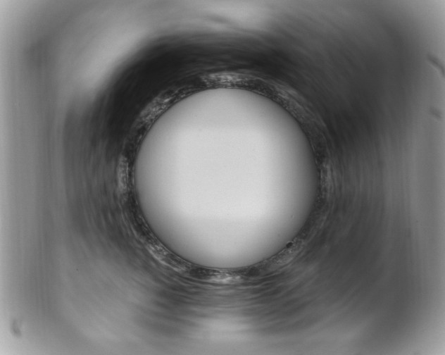 X0000101410760200807071006
