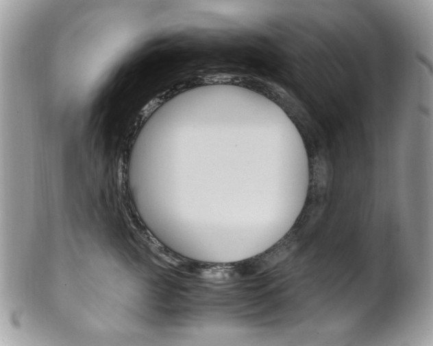 X0000101410761200807071006