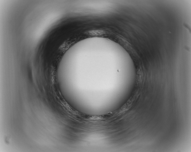 X0000101410762200807071006