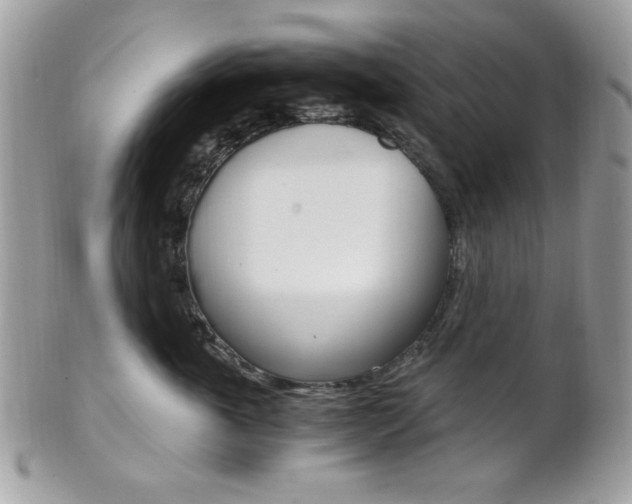 X0000101410763200807071006