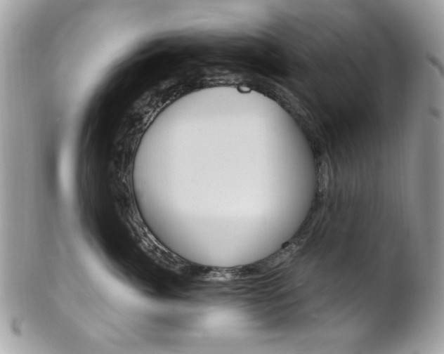 X0000101410764200807071006