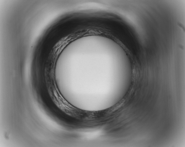 X0000101410765200807071006