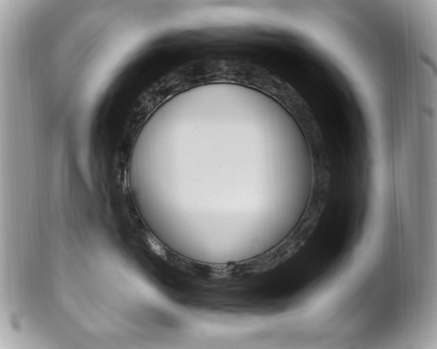X0000101410766200807071006