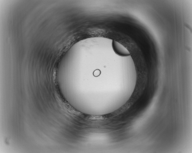 X0000101410767200807071006
