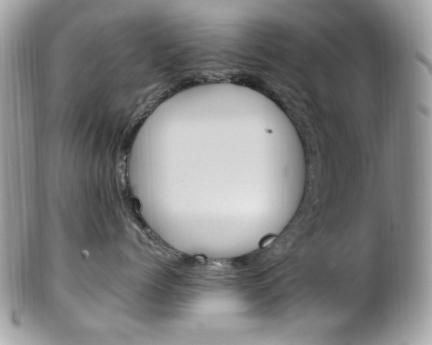 X0000101410768200807071006