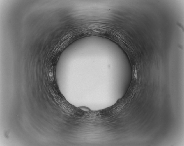 X0000101410771200807071006