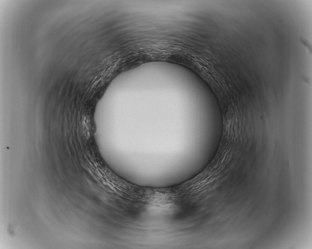 X0000101410772200807071006