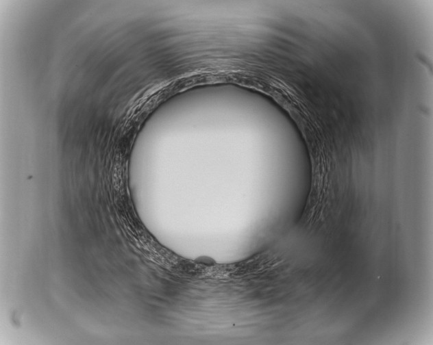 X0000101410773200807071006