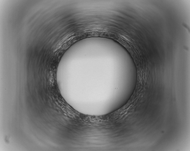 X0000101410774200807071006