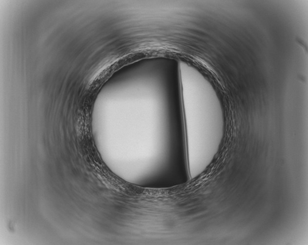 X0000101410775200807071006