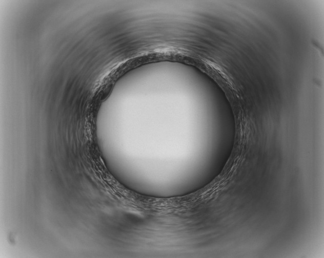X0000101410776200807071006