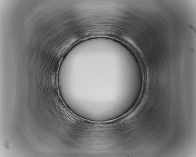 X0000101410777200807071006