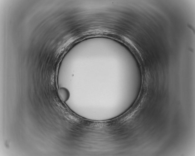 X0000101410778200807071005