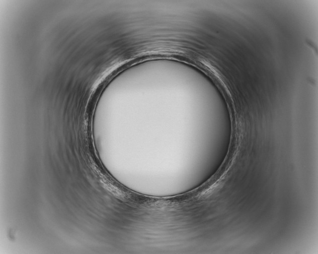 X0000101410779200807071005