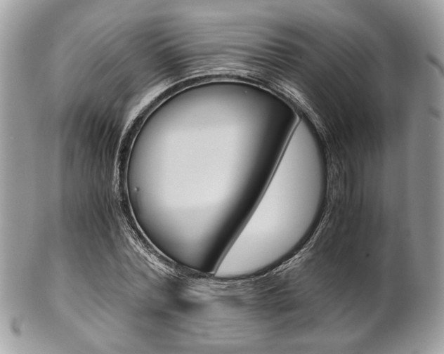 X0000101410780200807071005