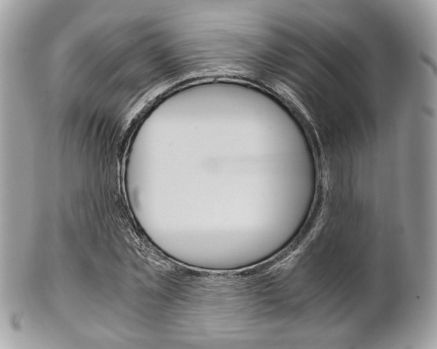 X0000101410781200807071005