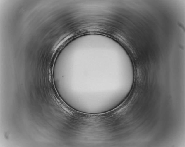 X0000101410782200807071005