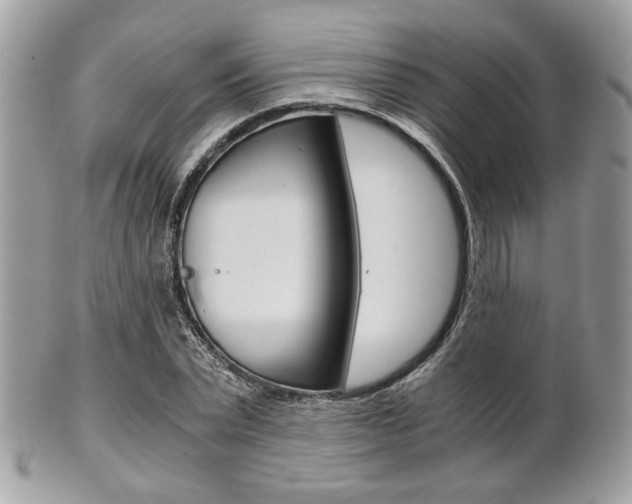 X0000101410783200807071005