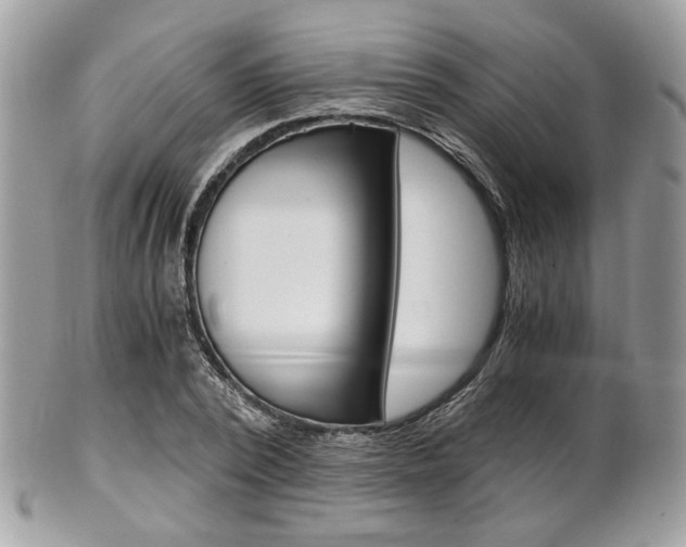 X0000101410784200807071005