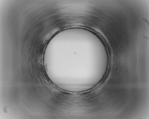 X0000101410785200807071005