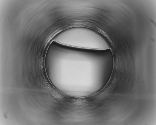 X0000101410786200807071005