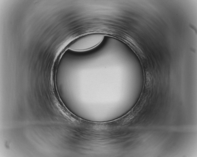 X0000101410788200807071005