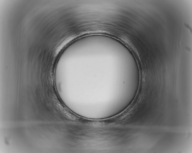 X0000101410789200807071005