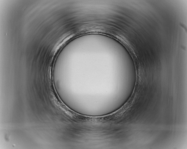 X0000101410790200807071005