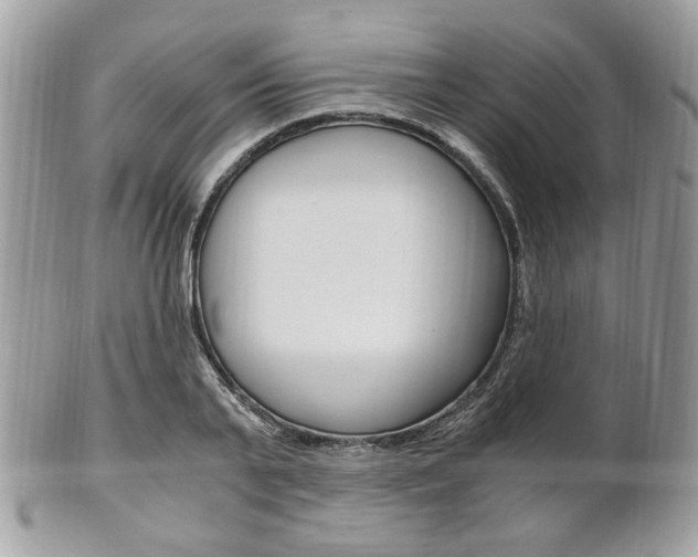 X0000101410791200807071005