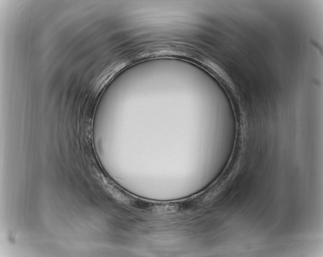 X0000101410793200807071005