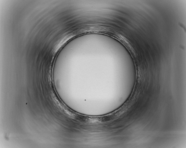 X0000101410794200807071005